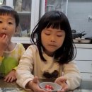 신진섭농장 | 아빠 궁금한 게 있는데 토마토는 왜 빨간색이야?