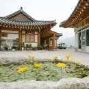 해오름한옥민박 이미지