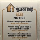 집사의 하루 전포점 네이버블로그