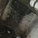 일층세탁 이미지