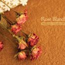 계남로334번길 이미지