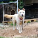 황금두꺼비민박 이미지