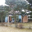 대흘초등학교 이미지