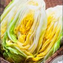 수 농장 이미지