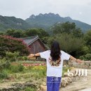 팔영산야영장 | 전남 고흥 가볼만한곳 사찰 능가사 팔영산뷰