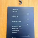 다이노워시 | 가평 고고다이노 키즈 호텔 키즈카페 키친 수영장까지 아이랑 가볼만한 곳