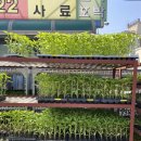 한일농약사 이미지