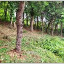 양평우리공인중개사사무소 이미지