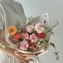 플레온느