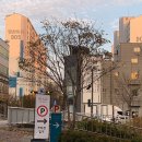 용아로L 이미지