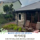 하가리집 | 노천탕 있는 제주 서쪽 가성비 독채숙소 하가리집 돌담 감성 완벽해