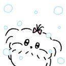 서촌동양 이미지