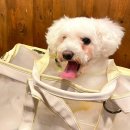 [광주신창동술집] 해산물의 신선함이 차원이 달라요 - 오소이