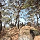 태화산파크 이미지