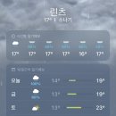 [the Day of 🇦🇹] 그리웠던 체코와 또 다른 체스키 🍪