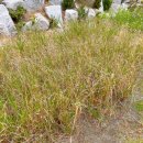 용답꽃공원 이미지