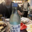 후레시관광 | 부산 깡통시장 맛집 | 대정양곱창 웨이팅 / 가격 방문 후기