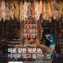 그래서여행