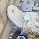 수문길 | 강릉누수 교동 상가 누수 문제 빠르게 해결한 후기