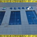 강화국민체육센터 수영장 이미지