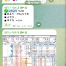 제이씨파트너스 네이버블로그