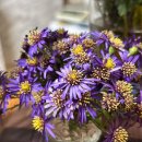 비금중학교 이미지