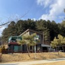 알파카 소풍 펜션 | 홍천 | 알파카월드 근처 숙소 추천, 아기와 가기 좋은 알파카 소풍 펜션 추천