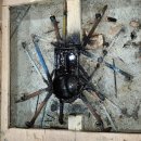 동문초등학교 이미지