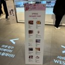 대전 갤러리아 디저트 페어 몽심, 다소리과자점, 스윗투스 후기