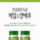세종녹즙 이미지