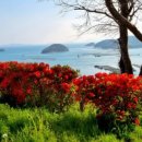 당포민박 이미지