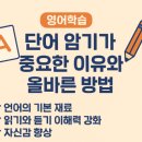 위례광장해법영어학원