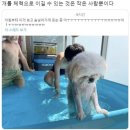 오엠지
