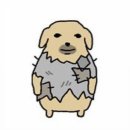 한스하우스 이미지