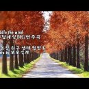 돛단배타고 오는 봄.. 이미지