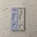 정천규이비인후과의원 | 부산 주례 정천규이비인후과) 부부 코로나 확진 일기. 자가키트양성, 전문가용 신속항원검사양성...