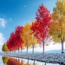 그림자호수 이미지