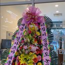 온담안경원 이미지