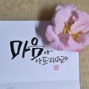 서향동백이 뚝뚝... 이미지