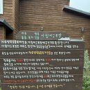 아침에 신선목장 | 제주 아침미소목장 후기 | 18개월 아기랑 가족체험, 우유젤라또까지 완벽한 하루🐮