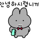 지금, 육회 연어 이미지