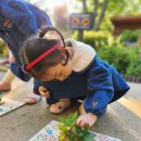 까치유치원 이미지