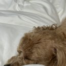 산지직송 구룡포진과메기 이미지