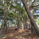 상주은모래비치4 이미지