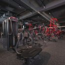 메이트짐 이미지