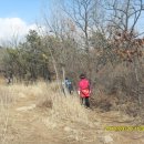 원효정사 이미지