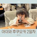 인소잉 | 5세 아이와 후쿠오카 여행 2일차 ㅣ 사파리 유후인 버스투어 & 다이소 쇼핑