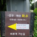 청학파출소 | 비루개 남양주 식물원카페 드디어 끝판왕에 가다