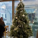 씨유 백현카페거리점 | 에이프런: 판교맛집/ 백현카페거리 브런치 추천메뉴 후무스 샥슈카