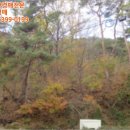 포항시북구61 이미지